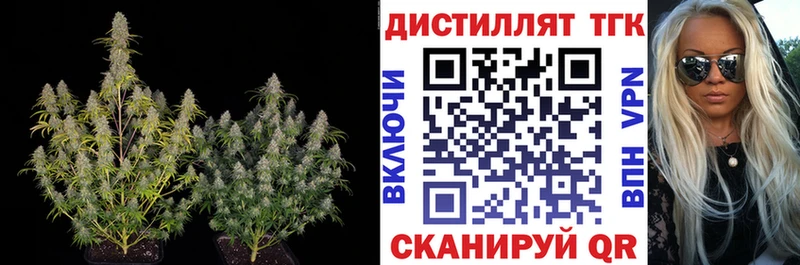 мега ТОР  купить наркотики сайты  Юрга  Дистиллят ТГК концентрат 
